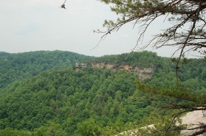 Cliff Palace Setting