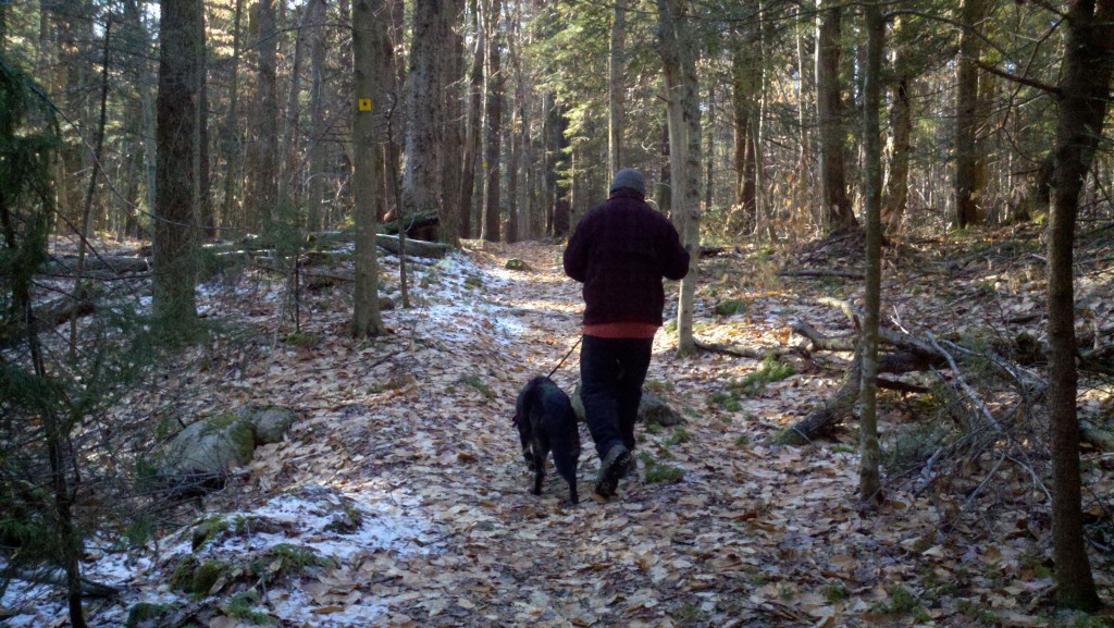 2011-12-26_13-22-41_725 Walking in the woods