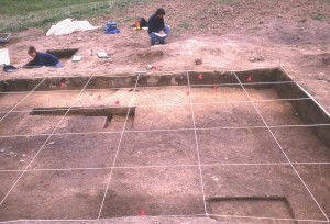 ManyUnits Excavation