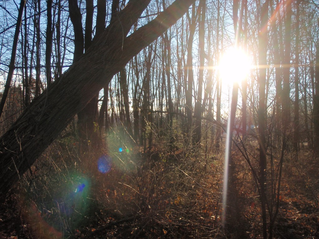 Almost Solstice Sunrise