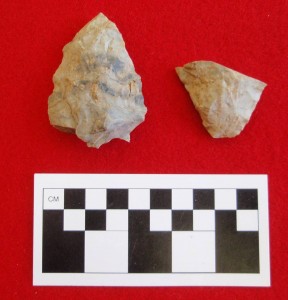 Bifaces found at the Trailside site